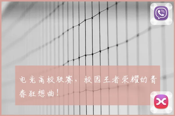 电竞高校联赛,校园王者荣耀的青春狂想曲!